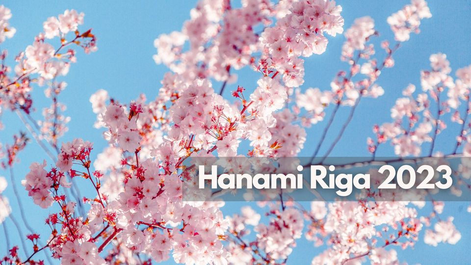 Hanami festivāls — svinēsim ķiršu ziedu skaistumu Uzvaras parkā!