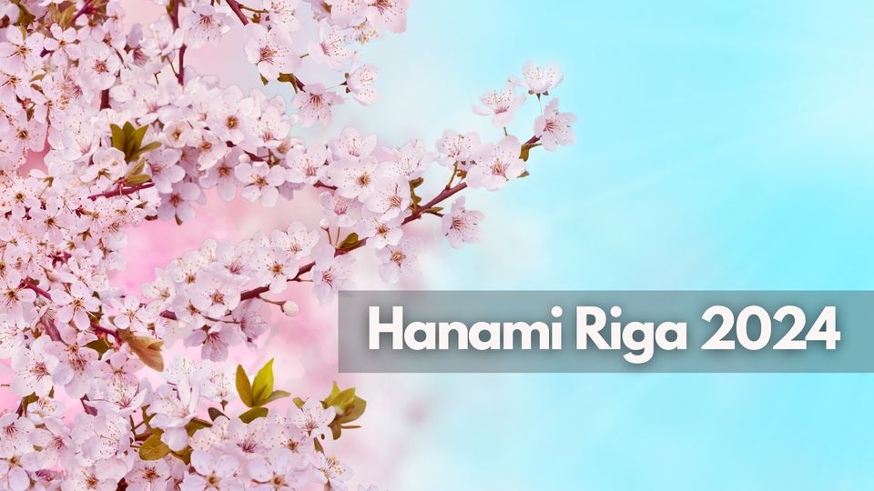 Hanami festivāls — ķiršu ziedu skaistums