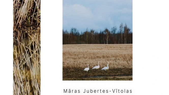 Māras Jubertes-Vītolas fotogrāfiju izstāde “Saredzēt. Mirklis Sunākstē”