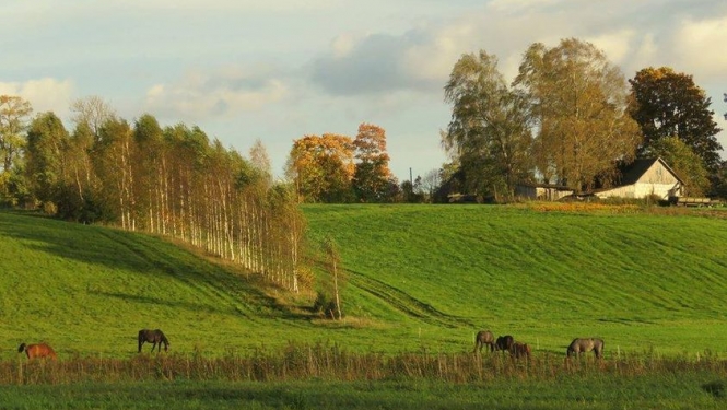 Bērvircavas amatierteātra izrāde  “Ak, šī jaukā lauku dzīve!”, režisore A. Vilciņa