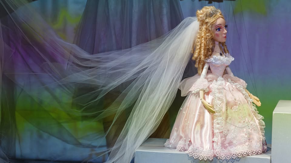 PRINCESE UZ ZIRŅA