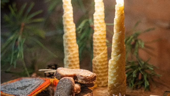 Ziemas saulgrieži