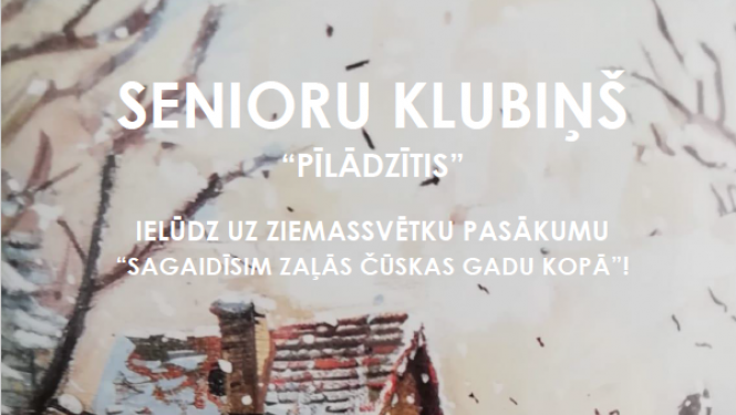 Ziemassvētku pasākumu “Sagaidīsim zaļās čūskas gadu kopā”