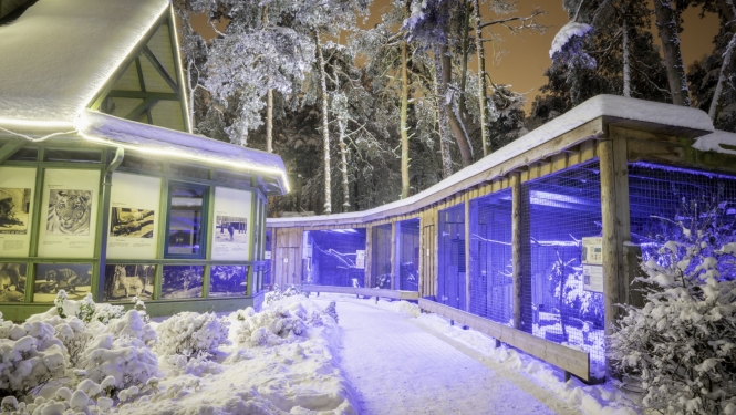 Ziemas naktis Rīgas zoodārzā