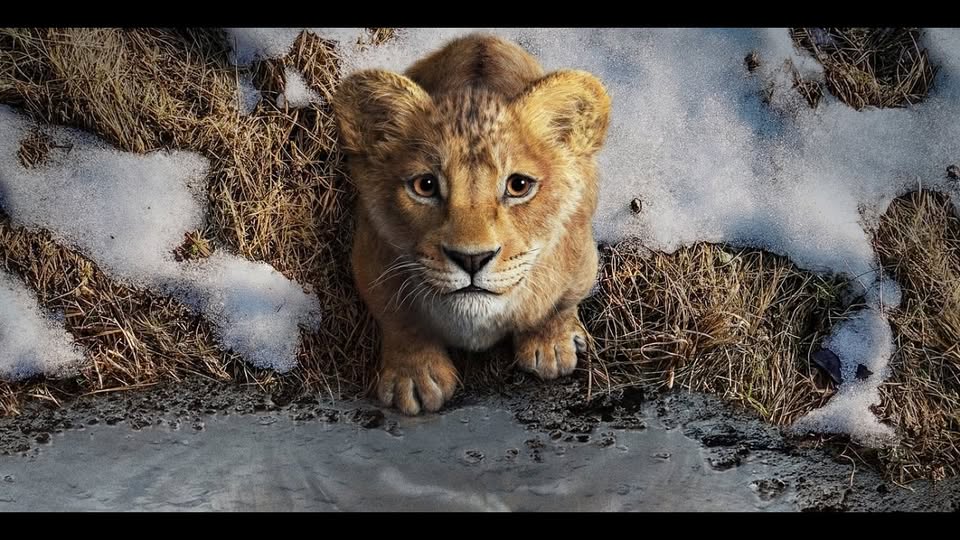 MUFASA: KARALIS LAUVA || KKC Kino