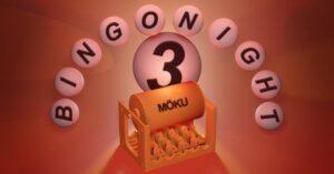 BINGO NIGHT 3
