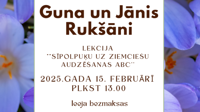Lekcija “Sīpolpuķu un ziemciešu audzēšanas ABC”
