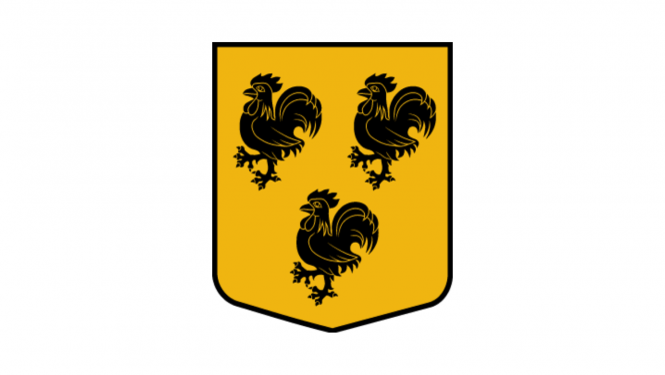 Gailīšu pagasta sacensības zolē
