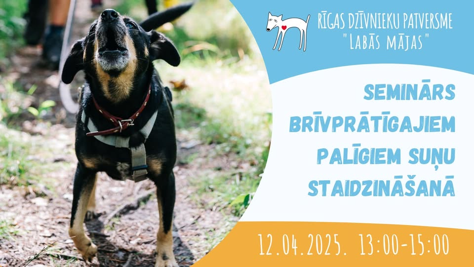 Seminārs brīvprātīgajiem palīgiem suņu staidzināšanā