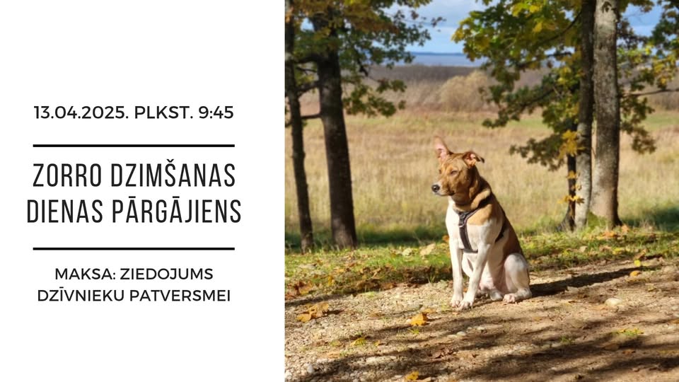 Zorro dzimšanas dienas pārgājiens
